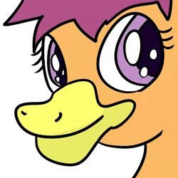 Size: 1250x1250 | Tagged: artist:anonymous, bird, cute, derpibooru import, drawthread, duck, duck bill, duckified, female, filly, /mlp/, safe, scootaloo, simple background, solo, species swap, transparent background