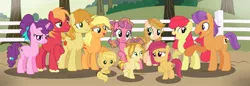 Size: 1024x354 | Tagged: safe, artist:sistervailory, derpibooru import, apple bloom, applejack, big macintosh, braeburn, granny smith, sugar belle, tender taps, apple family, applecest, braejack, female, incest, male, offspring, parent:apple bloom, parent:applejack, parent:big macintosh, parent:braeburn, parent:sugar belle, parent:tender taps, parents:braejack, parents:sugarmac, parents:tenderbloom, product of incest, shipping, straight, sugarmac, tenderbloom