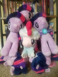 Size: 1504x2016 | Tagged: artist:silverstorm, book, bookshelf, clothes, derpibooru import, multeity, photo, pinkie pie, plushie, safe, scarf, sparkle sparkle sparkle, twilight sparkle