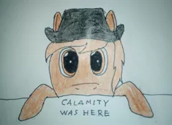 Size: 2448x1780 | Tagged: safe, artist:überreaktor, derpibooru import, oc, oc:calamity, pegasus, pony, fallout equestria, clothes, dashite, desperado hat, hoodie, kilroy, kilroy was here, solo, text, traditional art