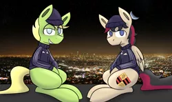 Size: 4000x2375 | Tagged: artist needed, safe, derpibooru import, oc, oc:porsche speedwings, earth pony, pegasus, adidas, beanie, blonde, blue eyes, gopnik, hat, slav, slavic, slavs, three stripes, tracksuit