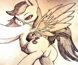 Size: 1024x862 | Tagged: safe, artist:lucas_gaxiola, derpibooru import, oc, unofficial characters only, pegasus, pony, bridle, dock, featureless crotch, female, mare, pegasus oc, saddle, signature, solo, tack, traditional art, wings