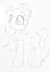 Size: 1650x2326 | Tagged: safe, artist:fireworks sea, derpibooru import, oc, oc:fireworks sky, earth pony, solo