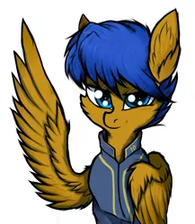 Size: 4000x4615 | Tagged: safe, artist:tatykin, derpibooru import, oc, oc:crushingvictory, unofficial characters only, pegasus, pony, fallout equestria, absurd resolution, cheek fluff, clothes, ear fluff, folded wing, raised wing, simple background, solo, vault suit