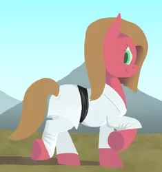 Size: 618x658 | Tagged: safe, artist:crispokefan, derpibooru import, oc, oc:pun, earth pony, pony, ask pun, ask, black belt, clothes, female, gi, karate, mare, martial arts, robe, solo, trousers