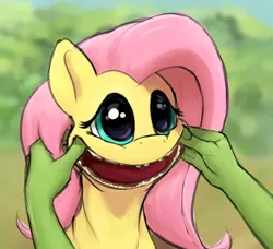 Size: 1236x1128 | Tagged: safe, artist:whiskeypanda, derpibooru import, edit, fluttershy, oc, oc:anon, human, pony, /mlp/, bust, creepy, creepy smile, cursed image, drawthread, forced smile, offscreen character, open mouth, smiling, three quarter view, toothless