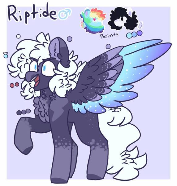 Size: 1341x1407 | Tagged: safe, artist:luqella, derpibooru import, rainbow dash, oc, oc:pelito, oc:riptide, pegasus, pony, chest fluff, colored wings, male, multicolored wings, offspring, parent:oc:pelito, parent:rainbow dash, parents:canon x oc, reference sheet, stallion, wings