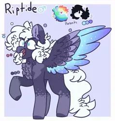 Size: 1341x1407 | Tagged: safe, artist:luqella, derpibooru import, rainbow dash, oc, oc:pelito, oc:riptide, pegasus, pony, chest fluff, colored wings, male, multicolored wings, offspring, parent:oc:pelito, parent:rainbow dash, parents:canon x oc, reference sheet, stallion, wings