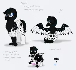 Size: 918x842 | Tagged: artist:ravenpuff, clothes, derpibooru import, female, hippogriff, hippogriff oc, maid, oc, oc:maggie, reference sheet, safe, solo, unofficial characters only