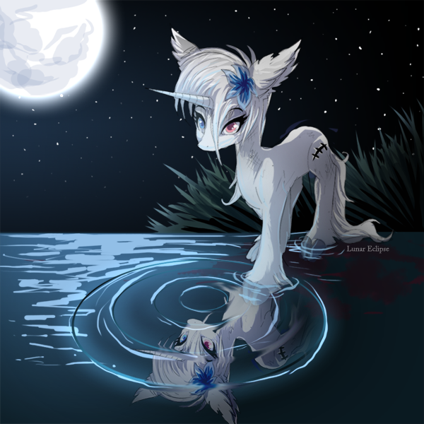 Size: 600x600 | Tagged: safe, artist:a-lunar-eclipse, deleted from derpibooru, derpibooru import, oc, oc:lunar eclipse, unofficial characters only, unicorn, eclipse, heterochromia, lunar, moon, reflection, solo, water, white