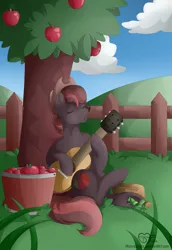 Size: 1589x2304 | Tagged: safe, artist:missydakota, derpibooru import, oc, oc:appleberry, unofficial characters only, earth pony, pony, apple, apple tree, cloud, fence, food, grass, grasshopper, guitar, hat, lasso, male, musical instrument, rope, sky, solo, tree