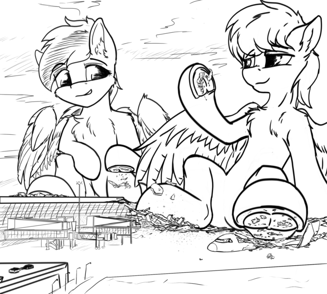 Size: 2000x1800 | Tagged: questionable, artist:notimportantinternetperson, derpibooru import, oc, pegasus, pony, airport, crush fetish, destruction, fetish, giant pony, looking at each other, macro, plane, sitting, smiling, underhoof