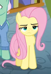 Size: 498x723 | Tagged: safe, derpibooru import, screencap, fluttershy, gentle breeze, pegasus, pony, flutter brutter, cropped, female, fluttershy is not amused, male, mare, narrowed eyes, offscreen character, solo focus, stallion, unamused