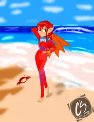 Size: 1024x1326 | Tagged: safe, artist:johnathon-matthews, derpibooru import, oc, oc:khunis jirall, genie, human, equestria girls, beach, deviantart watermark, elf ears, island, male, obtrusive watermark, ocean, scuba gear, solo, spy crab, watermark, wet hair, wetsuit