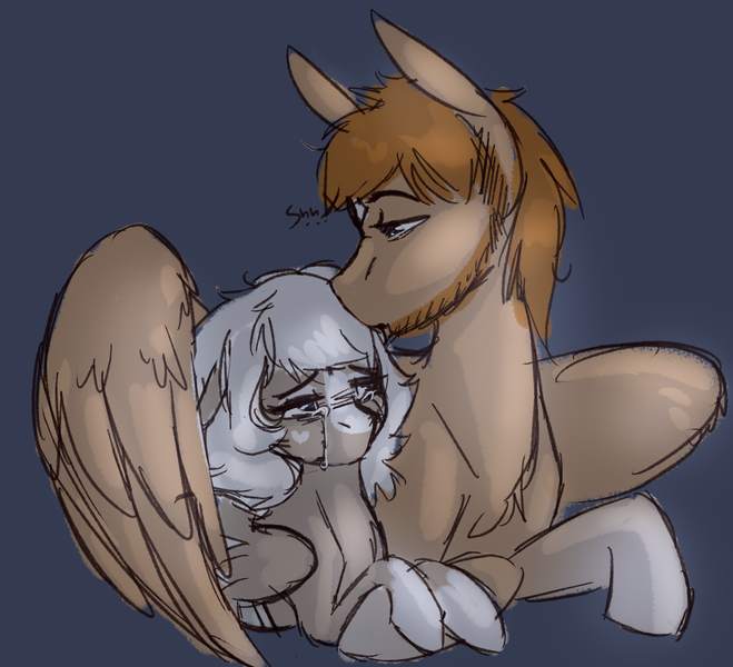 Size: 1532x1394 | Tagged: safe, artist:sierra flyer, derpibooru import, oc, oc:coffee creamtrain, oc:geartrain, pegasus, pony, comforting, crying, female, husband and wife, male, mare, stallion, vent art
