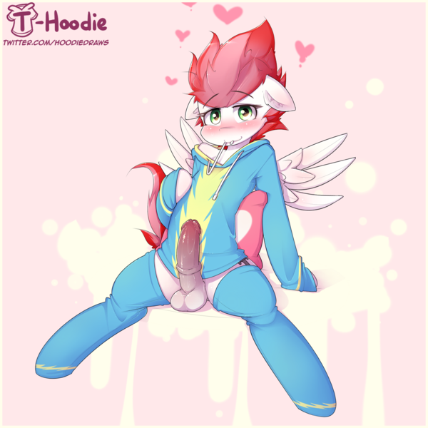 Size: 1600x1600 | Tagged: explicit, artist:apony, derpibooru import, oc, oc:swift apex, unofficial characters only, semi-anthro, blushing, clothes, erection, heart, hoodie, hybrid penis, image, male, nudity, penis, pillow, png, socks, solo, solo male, thigh highs