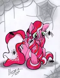 Size: 924x1200 | Tagged: safe, artist:blazelupine, derpibooru import, oc, oc:spooky apple, unofficial characters only, earth pony, pony, spider, female, solo, spider web, traditional art