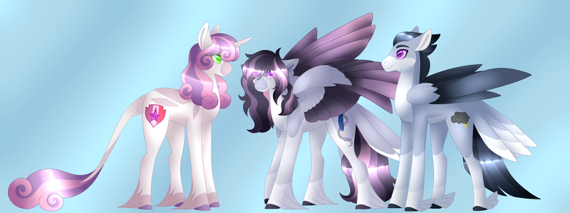 Size: 6688x2500 | Tagged: safe, artist:clay-bae, derpibooru import, rumble, sweetie belle, oc, oc:silver lining (clay-bae), pegasus, pony, alternate design, feathered fetlocks, female, high res, male, mare, offspring, parent:rumble, parent:sweetie belle, parents:rumbelle, rumbelle, shipping, straight, tail feathers, unshorn fetlocks