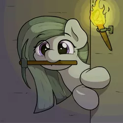 Size: 4096x4096 | Tagged: safe, artist:ljdamz1119, derpibooru import, marble pie, earth pony, pony, cute, daaaaaaaaaaaw, female, marblebetes, mare, minecraft, mouth hold, pickaxe, redraw, solo, torch