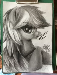 Size: 2448x3264 | Tagged: safe, artist:nihaicreeper, derpibooru import, oc, oc:enderby, unofficial characters only, pegasus, pony, female, looking at you, solo, traditional art