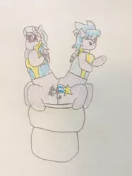 Size: 772x1034 | Tagged: safe, artist:snipiper, derpibooru import, cloudchaser, flitter, pegasus, pony, but why, female, mare, poop, pooping, toilet, traditional art