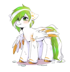 Size: 1291x1325 | Tagged: safe, artist:kedar, derpibooru import, oc, unofficial characters only, pegasus, pony, blushing, chest fluff, colored hooves, colored wings, colored wingtips, ear fluff, floppy ears, simple background, spread wings, transparent background, unamused, unshorn fetlocks, wet, wet mane, wings