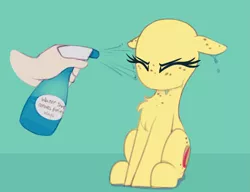 Size: 1069x820 | Tagged: safe, artist:shinodage, derpibooru import, edit, oc, oc:apogee, unofficial characters only, human, pony, apogee getting sprayed, bad pony, behaving like a bird, chest fluff, cute, diageetes, disembodied hand, eyes closed, female, filly, floppy ears, fluffy, followup, hand, mare, no hair, no mouth, no nostrils, solo, solo focus, spray bottle, this will end in jail time, wet