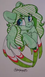 Size: 1959x3289 | Tagged: safe, artist:spoopygander, derpibooru import, oc, oc:lief, unofficial characters only, pegasus, pony, chest fluff, colored wings, cute, female, mare, markings, multicolored wings, scar, smiling, solo, traditional art, unshorn fetlocks, wing fluff, wings