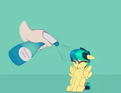 Size: 1069x820 | Tagged: safe, artist:shinodage, derpibooru import, edit, oc, oc:apogee, unofficial characters only, human, pegasus, pony, apogee getting sprayed, bad pony, behaving like a bird, chest fluff, cute, diageetes, disembodied hand, eyes closed, female, filly, floppy ears, fluffy, hand, mare, shrinking, shrinking potion, solo, solo focus, spray bottle, wet