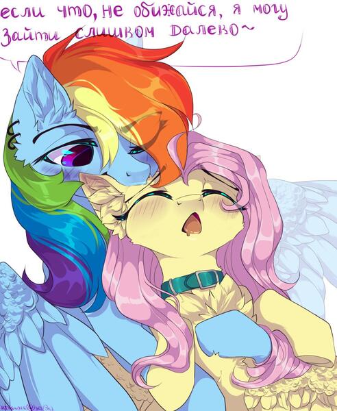 Size: 1229x1500 | Tagged: safe, artist:hakkerman, derpibooru import, fluttershy, rainbow dash, pegasus, pony, biting, chest fluff, collar, cyrillic, dialogue, duo, ear bite, ear fluff, eyes closed, female, flutterdash, lesbian, mare, russian, shipping, simple background, spread wings, white background, wings