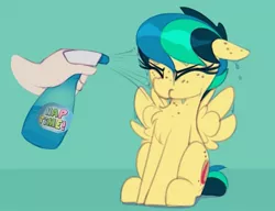 Size: 1069x820 | Tagged: safe, artist:shinodage, derpibooru import, edit, oc, oc:apogee, unofficial characters only, apogee getting sprayed, bad pony, naptime!, spray bottle, water