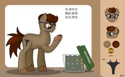 Size: 1465x900 | Tagged: safe, artist:99999999000, derpibooru import, oc, oc:zhang zhonghong, beetle, earth pony, insect, pony, rhinoceros beetle, chinese text, glasses, male, reference sheet, solo