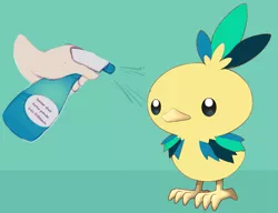 Size: 1059x815 | Tagged: safe, artist:shinodage, derpibooru import, edit, oc, oc:apogee, unofficial characters only, torchic, apogee getting sprayed, bad pony, barely pony related, pokefied, pokémon, species swap, spray bottle