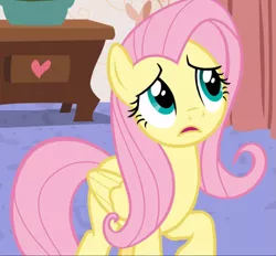 Size: 1009x938 | Tagged: safe, derpibooru import, screencap, fluttershy, pegasus, pony, discordant harmony, confluttershy, confused, cropped, female, mare, open mouth, raised hoof, solo