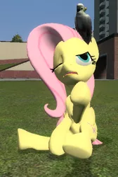 Size: 372x553 | Tagged: safe, artist:didgereethebrony, derpibooru import, fluttershy, bird, cockatoo, pegasus, pony, 3d, angry, annoyed, gmod