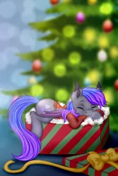 Size: 2000x3000 | Tagged: safe, artist:jerraldina, derpibooru import, oc, oc:grey, unofficial characters only, bat pony, pony, bow, box, christmas, christmas tree, clothes, comfy, cozy, cute, eyes closed, heart, holiday, hoodie, male, pony in a box, present, sleeping, solo, tree, warm, wings