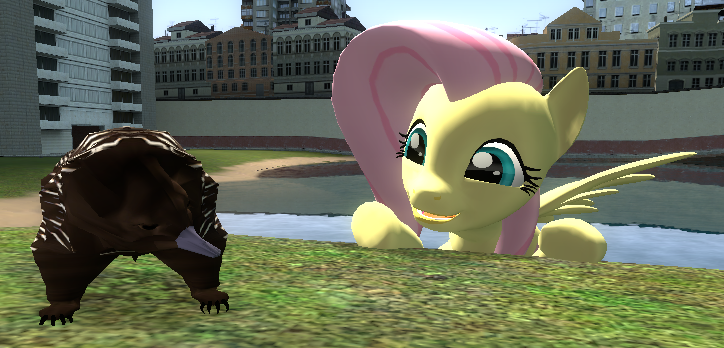 Size: 724x348 | Tagged: safe, artist:didgereethebrony, derpibooru import, fluttershy, echidna, pegasus, pony, 3d, cute, gmod, solo