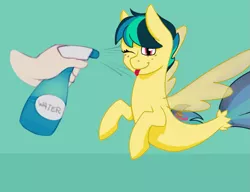 Size: 1069x820 | Tagged: safe, artist:cadetredshirt, artist:shinodage, derpibooru import, edit, oc, oc:apogee, unofficial characters only, human, seapony (g4), ;p, apogee getting sprayed, cute, diageetes, disembodied hand, female, filly, floppy ears, fluffy, freckles, h2o: just add water, hand, mare, one eye closed, seaponified, simple background, solo, solo focus, species swap, spray bottle, tongue out, wet, wink