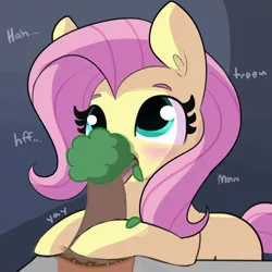 Size: 2048x2048 | Tagged: suggestive, artist:tjpones, derpibooru import, edit, fluttershy, pegasus, pony, bonsai, cute, dendrophilia, dirt, female, fetish, fluttertree, holding, licking, looking up, mare, mlem, not porn, phallic symbol, plant, plant pot, pot, silly, solo, table, tilde, tongue out, tree, yay