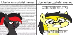 Size: 2500x1200 | Tagged: safe, artist:moonatik, derpibooru import, oc, oc:comrade valentina, oc:leslie fair, earth pony, pony, anarchism, anarcho-capitalism, capitalism, crazy eyes, female, immigration, impact font, libertarian, libertarianism, mare, meme, obscured text, politics, ponified meme, socialism, sunglasses, vulgar, ziggers