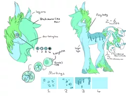 Size: 1024x778 | Tagged: safe, artist:apovaooak, derpibooru import, oc, unofficial characters only, monster pony, original species, piranha plant pony, plant pony, augmented tail, bust, egg, hoof fluff, plant, reference sheet, smiling, text