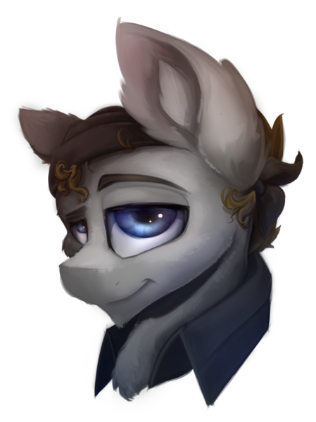 Size: 1500x2006 | Tagged: safe, artist:ignis, derpibooru import, oc, oc:trevor rain, pony, art trade, bust, portrait, simple background, solo, transparent background