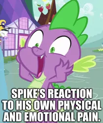 Size: 906x1079 | Tagged: abuse, caption, cropped, derpibooru import, dragon dropped, edit, edited screencap, editor:useraccount, excited, funny, go to sleep garble, happy, image macro, implied spikeabuse, masochism, masochist, meme, safe, screencap, shitposting, spike, spikeabuse, text, truth