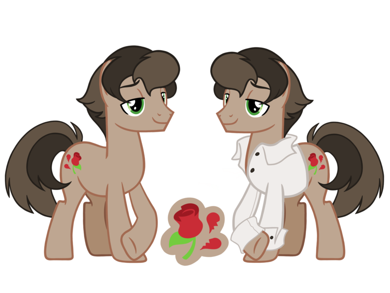 Size: 4500x3375 | Tagged: safe, artist:avatarmicheru, derpibooru import, oc, oc:rose wine, unofficial characters only, pony, base used, clothes, magical gay spawn, male, offspring, parent:doctor caballeron, parent:feather bangs, parents:featheron, shirt, simple background, solo, stallion, transparent background