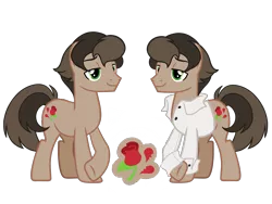 Size: 4500x3375 | Tagged: safe, artist:avatarmicheru, derpibooru import, oc, oc:rose wine, unofficial characters only, pony, base used, clothes, magical gay spawn, male, offspring, parent:doctor caballeron, parent:feather bangs, parents:featheron, shirt, simple background, solo, stallion, transparent background