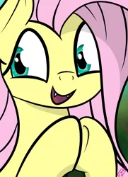 Size: 4700x6500 | Tagged: safe, artist:flywheel, derpibooru import, edit, editor:sollace, fluttershy, bat pony, pony, bust, cute, cute little fangs, fangs, shyabetes, simple background, solo, vector