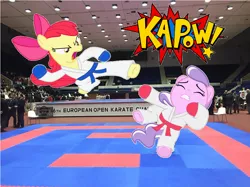 Size: 650x487 | Tagged: safe, derpibooru import, apple bloom, diamond tiara, pony, clothes, duo, fingerless gloves, gi, gloves, irl, karate, kicking, martial arts, photo, ponies in real life, robe, trousers