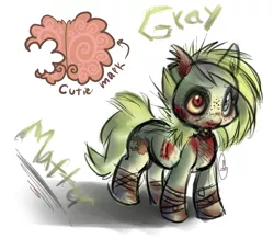 Size: 993x866 | Tagged: semi-grimdark, artist:dollfins, derpibooru import, oc, oc:gray matter, unofficial characters only, pony, undead, zombie, zombie pony, black eye, blood, reference sheet, smiling, solo