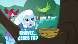 Size: 1280x720 | Tagged: safe, derpibooru import, trixie, bird, a little birdie told me, equestria girls, equestria girls series, bird nest, caption, hugo chavez, image macro, meme, nest, solo, spanish, text, tree, tree branch, trixie yells at everything, venezuela