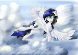 Size: 4092x2893 | Tagged: artist:azzyalder, derpibooru import, oc, pegasus, safe, sky